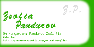 zsofia pandurov business card